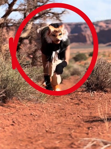 Millones de años de evolución tirados a la BASURA! 🐒🚫#exa #Therian #therians