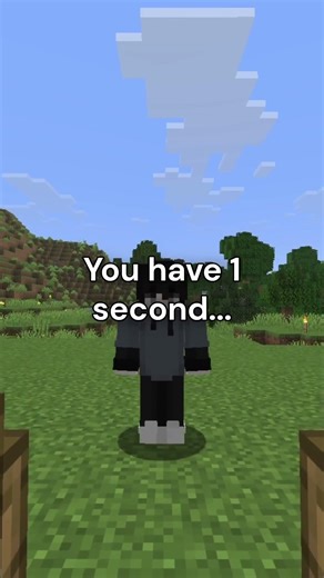 Guess the Block in 1 Second 👀 (Minecraft Impossible Challenge)