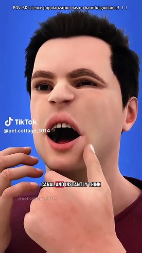 Understanding Root Canal Treatment: Process and Benefits