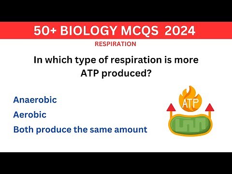 Cellular Respiration Quiz: Test Your Knowledge of Energy Production!