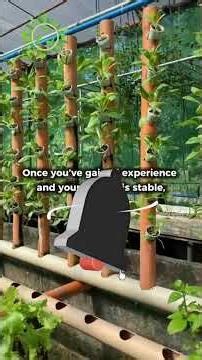 Don’t Mix Fish Yet! 🐟 Beginner Aquaponics Tips for Stress-Free Setup 🌱#gardening #sustainableliving