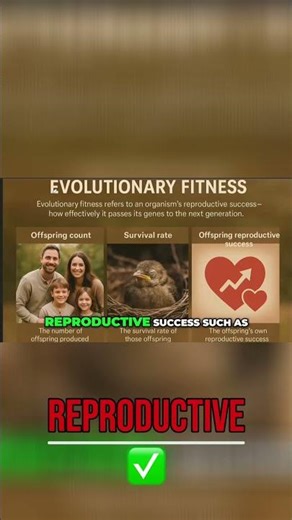 Evolutionary Fitness: Understanding Survival & Reproductive Success