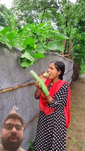 👉 TIMELAPSE: Alone Building Wooden Log Cabin | Survival House Start to Finish 🪵🏡