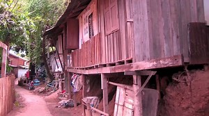 Genesis Children’s Sustainability Project.