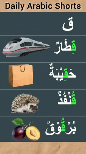 Daily Arabic Shorts (ق) . . . #arabicwords #learnarabic #arabiclearning #arabicforkids #islamic #arabicvocabulary #arabicreading #arabicforbeginners #quranlearning #learnarabiconline | Arabic Fusha