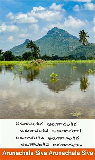 arunachala shiva arunachala shiva song ramana maharshi arunachala siva best chanting for liberation.