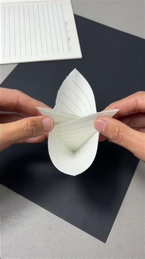 Learn how to make a handy sunflower seed cracker! It's so convenient for cracking sunflowe.