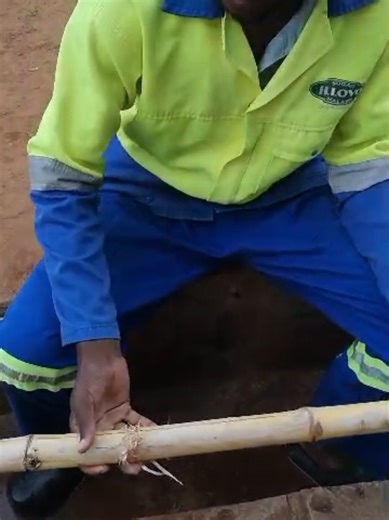 Frank Malunga – Student Climber from LUANAR has developed a climate-smart bamboo drip irrigation system using locally available bamboo, reducing the need for plastic and metal materials. This innovation provides a sustainable and affordable irrigation solution for farmers. By conserving water, lowering costs, and improving crop resilience to climate change, this eco-friendly system offers a practical solution for supporting Malawian farmers. 💡 Vote for Frank by liking this post! Every like coun