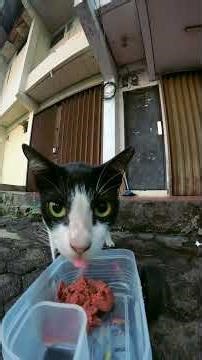 Kirain Langsung Makan, Malah Bengong Dulu