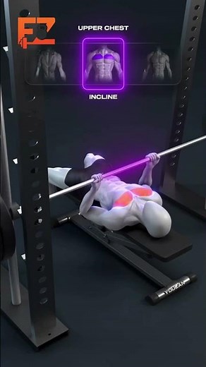 Smith Machine Moves for Full Chest & Triceps