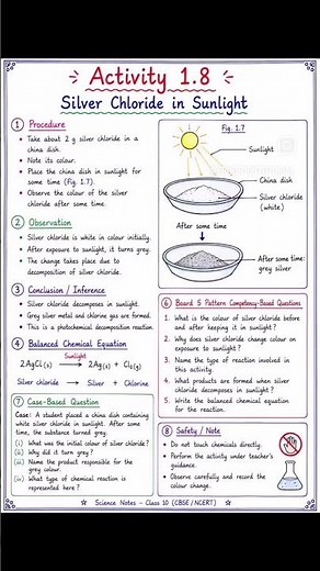 Chemistry Chapter 1: Chemical Reactions and Equations | All Activities Explained | CBSE Class 10