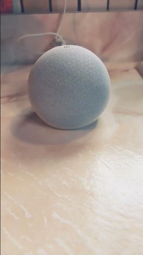 Alexa can’t connect to Wi-Fi #alexa #wi-fi￼