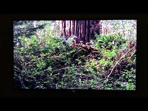 Star Wars: Episode VI - Return of the Jedi (1983) - Speeder Bike Chase scene