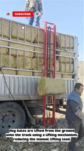 Efficient Solution for Loading and Unloading Animal Feed#shorts #innovation #machine