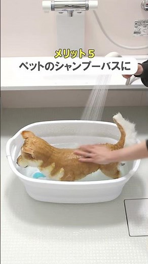 【大きめで使いやすい】折りたたみバケツ