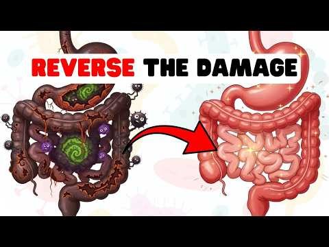 Gut Detox Explained: Repair, Clean & Heal Naturally
