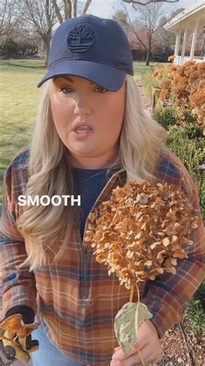 Skye Hamilton • Home & Garden • Hydrangea Queen | Even though smooth hydrangeas and mophead hydrangeas look very similar. They are very different varieties. Smooth hydrangeas, bloom on new... | Instagram