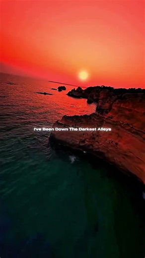 Wolves - Selena Gomez ( Lyrics ) Lyrical Aesthetics #lyrics #music #trending #lyricalaesthetics