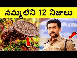 12 Facts In Telugu | Unknown Facts in Telugu |Interesting Facts | Telugu facts | Ep.24 | CTC FACTS