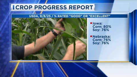 USDA Crop Progress Report 9/9/25