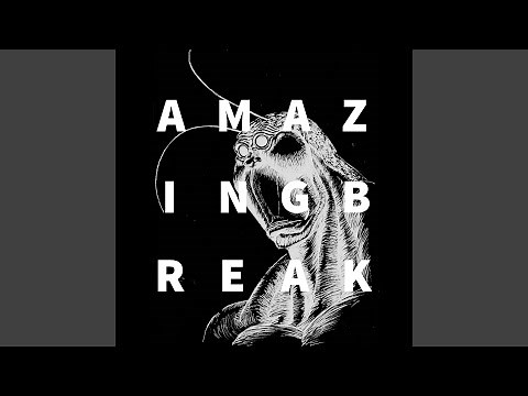 AMAZING BREAK