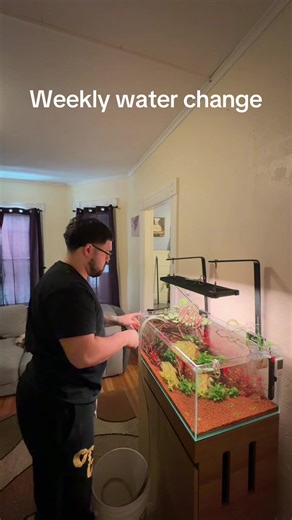 Aquarium Maintenance Tips for Healthy Fish