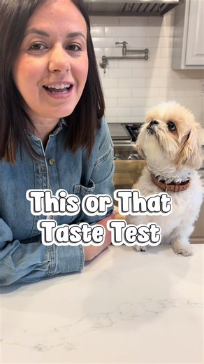 Stella's Exciting Dog Taste Test Adventures