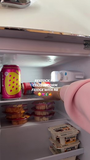 College Dorm Fridge Restocking Guide