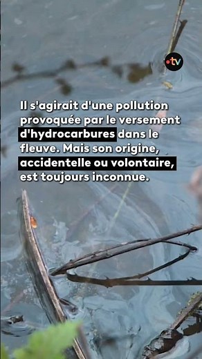 Pollution de la Vienne aux hydrocarbures sur des kilomètres
