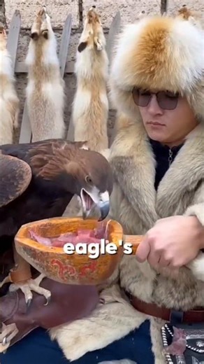 Eagle’s First Hunt Gone Wrong