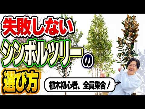 [Don't know the name of the tree?] 6 new symbol trees that you can't go wrong with