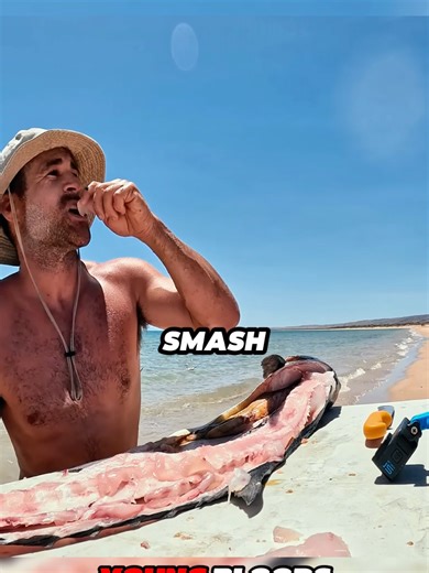 Catching giant mackerel for food in remote island P7 #mackerel #survival #catchandcook #fishing #camping