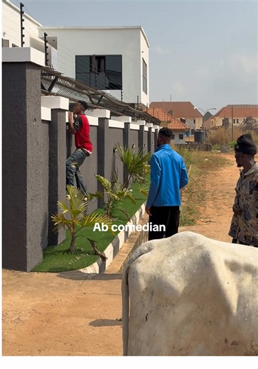 Untouchable Comedy: A Hilarious Take on Life