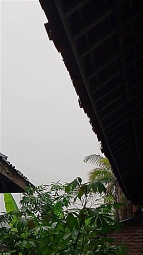 Rain on Tin Roof with Soft Piano Music