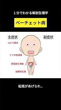 Behçet's disease #anatomy and physiology #collagen disease