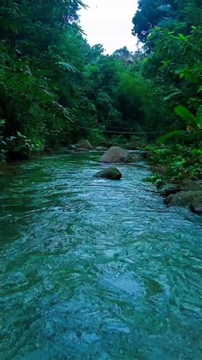 Soothing Mountain Stream | Relaxation & Peace