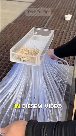Geniale Aussaat-Technik! 🌱 So schnell pflanzt du hunderte Samen ⚡️ #gartenbau #landwirtschaft