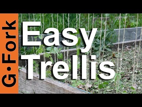How to make a trellis - GardenFork.TV