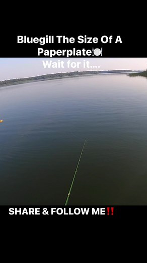 10K views · 385 reactions | Bluegill the size of a Paper plate ️ #crappiefishing #crappie #crappiemaniacs #kayak #kayakfishing #kayakcrappiefishing #crappiecrazy #903fishing #texasfishing #blackcrappie #crappielife #crappiefishin #crappiefishingfools #youtuber #blackcrappie #whitecrappie #fishing #fishinglife #fishingaddict #fishingdaily #crappiecrazy #fishingislife #fishingtime #fishing #inandoutpowersports #runcl Piscifun ACC Crappie Stix | 903 Fishing | Facebook