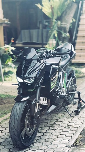 cold start z800🔥🔥 #z800 #kawasaki