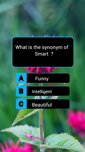 English quiz/ synonym quiz / English grammar quiz/ general knowledge quiz