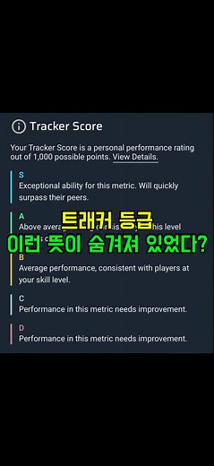 발로란트 트래커 등급 해석방법