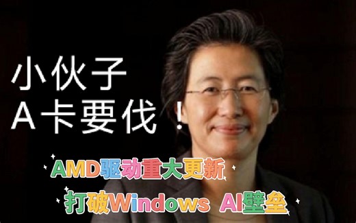 AMD驱动重大更新，加入WSL2支持，AI兼容能力大幅提高！！！