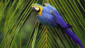 RC homepage slideshow