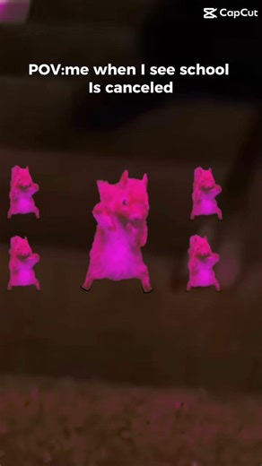 Dancing squirrel 🐿️