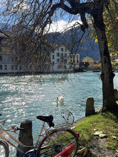 modinner on Instagram: "wrapped in the calm of Interlaken🇨🇭"