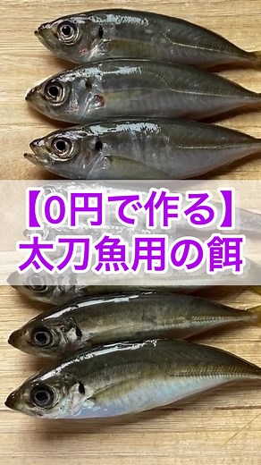 タチウオ用の餌の手作り方法