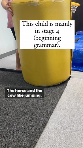 This is a stage 4 gestalt language processor. I am naturally modeling beginning grammar targets (from the DSS, Laura Lee) during child-led play. Any questions?! Is this helpful to see? Let me know below 👇🏻 💙 Find our free resources, courses, blog, Marketplace and GLP handbook at meaningfulspeech.com 🧡 Check out communicationdevelopmentcenter.com for free information on all six stages of gestalt language development. | Meaningful Speech