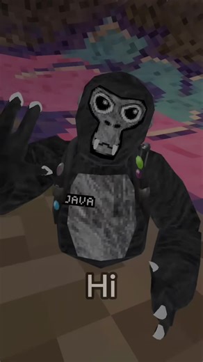 Meet Java: Your New Gorilla Tag Photographer