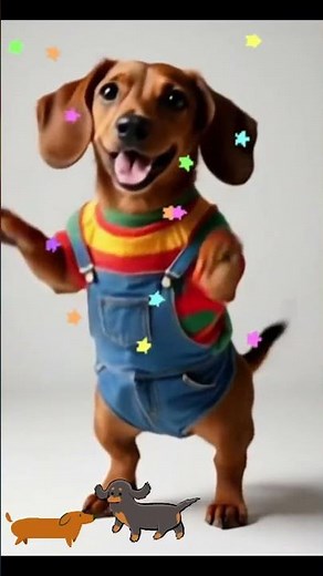 🐾 Hilarious Dachshund Dance Moves You’ve Never Seen Before! 😂 | Funny Dog Video 2025
